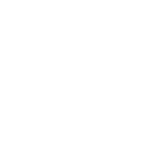 前撮り写真＆結婚式のムービー撮影<br>PICNIKO (ピクニコ)