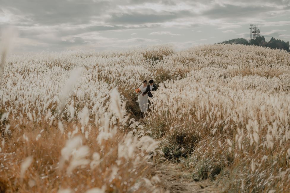 生石高原（SOOYE)の前撮り事例