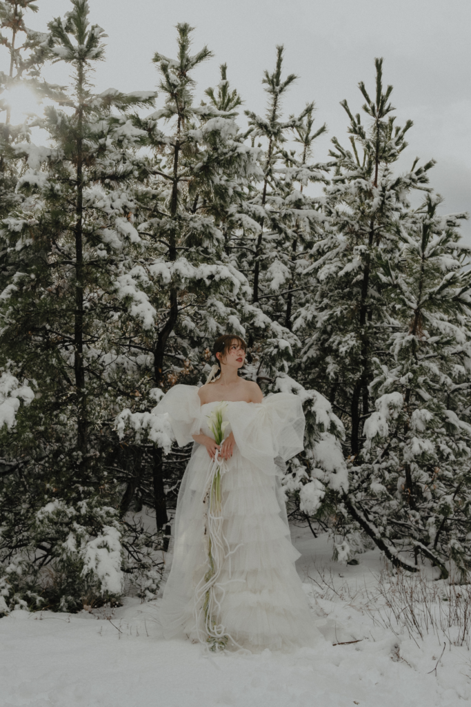 鳥取砂丘の前撮り事例