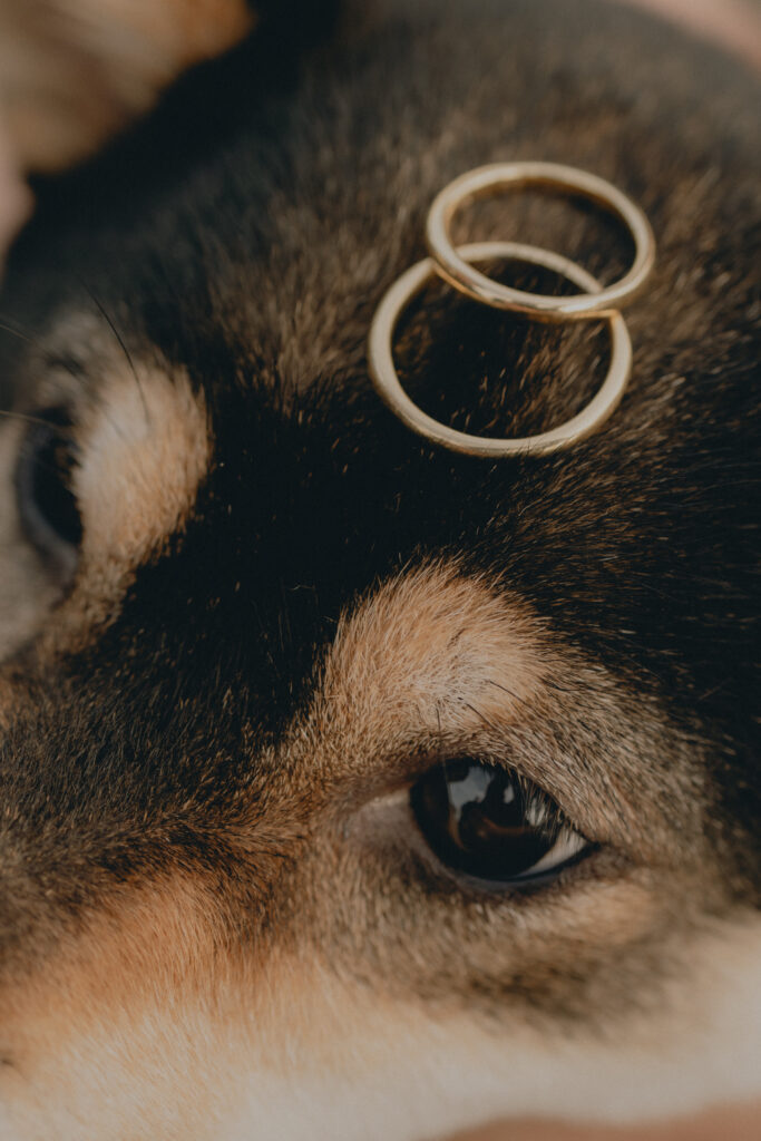 九十九里浜（SOOYE)の前撮り事例