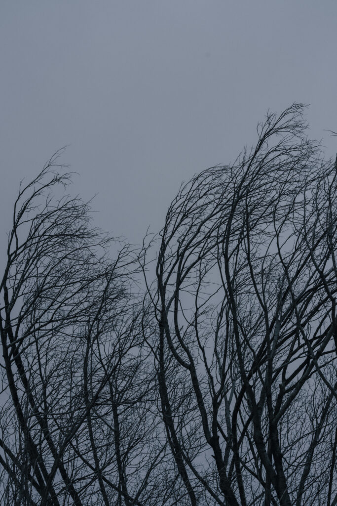 神戸元町旧居留地（MACHIRO)の前撮り事例