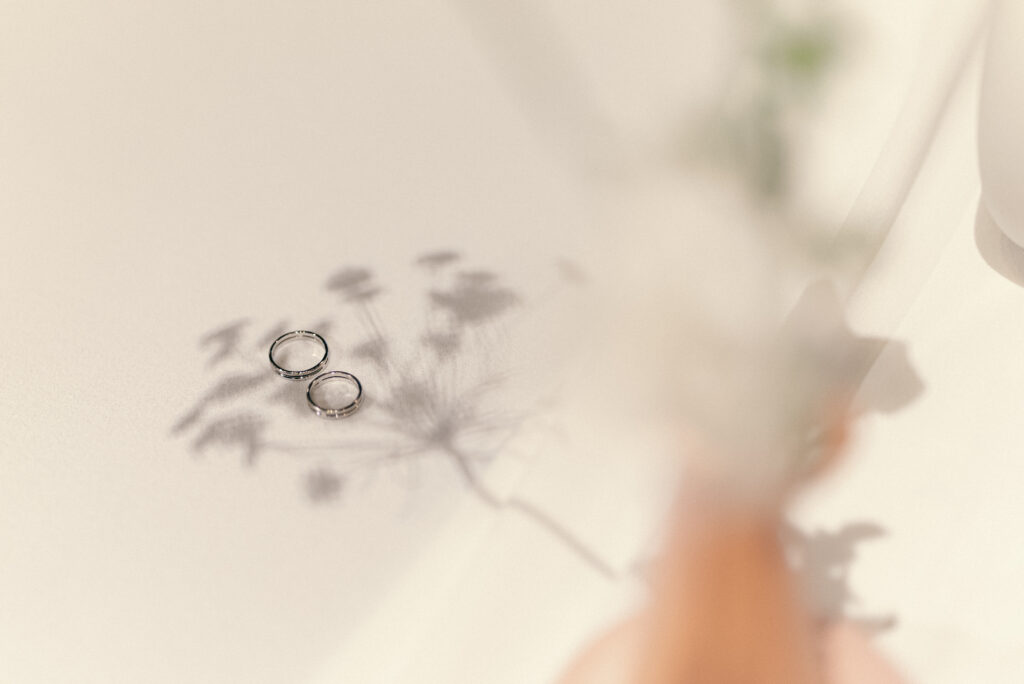 もやし町家の撮影事例