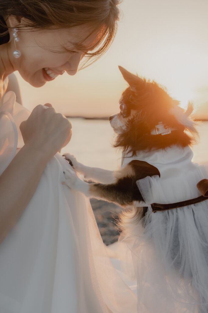 鳥毛洞窟の前撮り事例