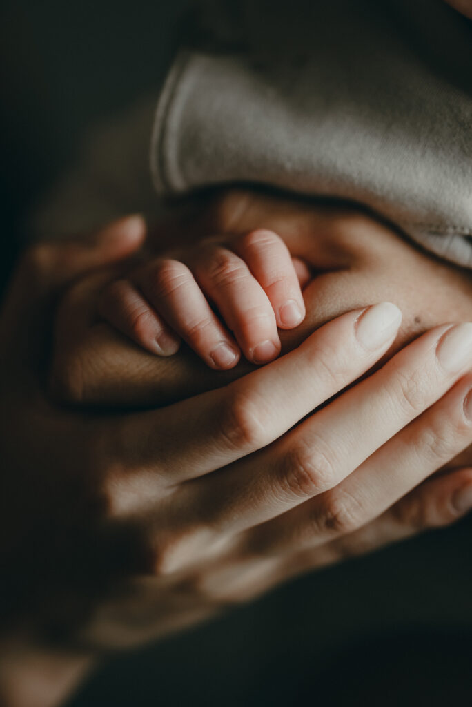 【スタジオ】ファミリーフォト – iliy –