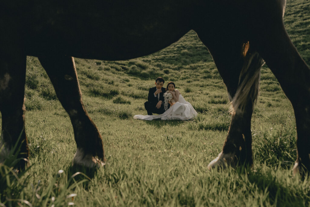 阿蘇（草千里ヶ浜）（SOOYE)の前撮り事例