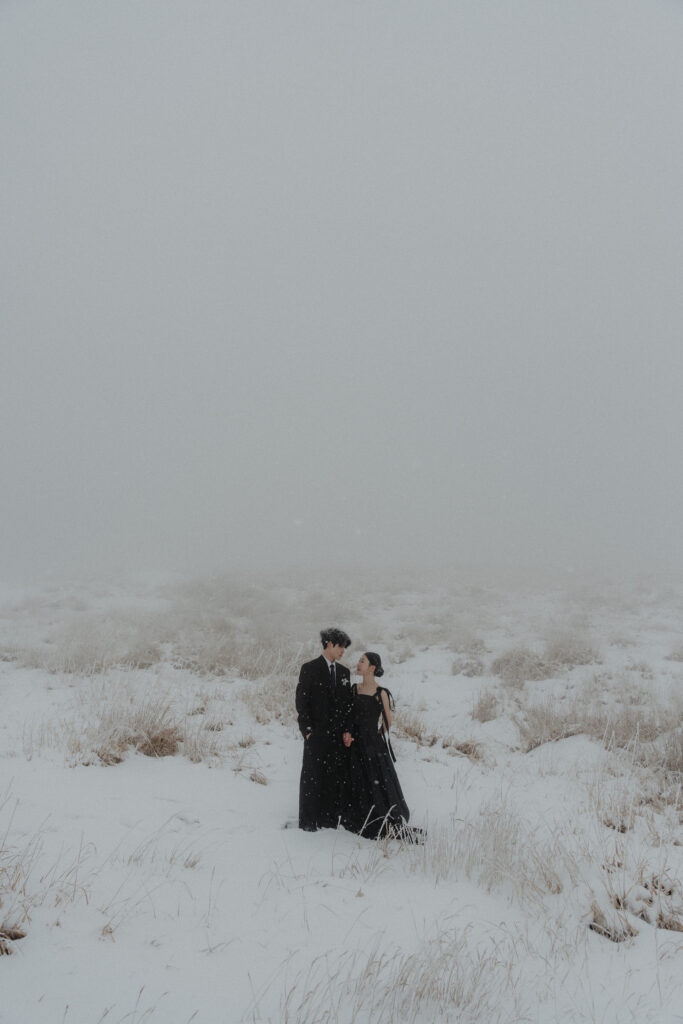 阿蘇（草千里ヶ浜）の前撮り事例