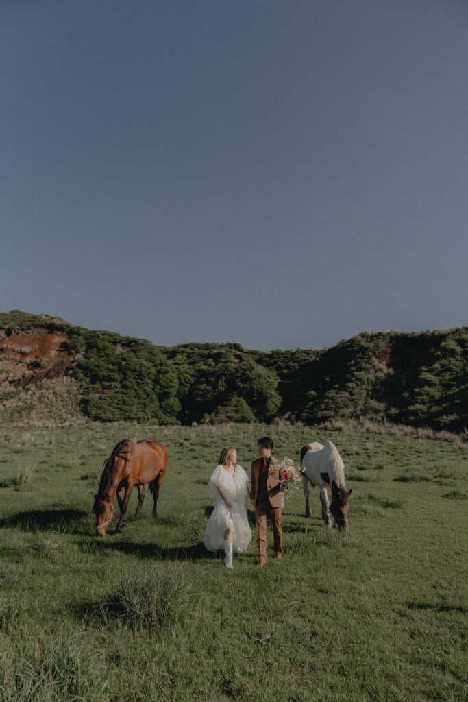 阿蘇（草千里ヶ浜）の前撮り事例