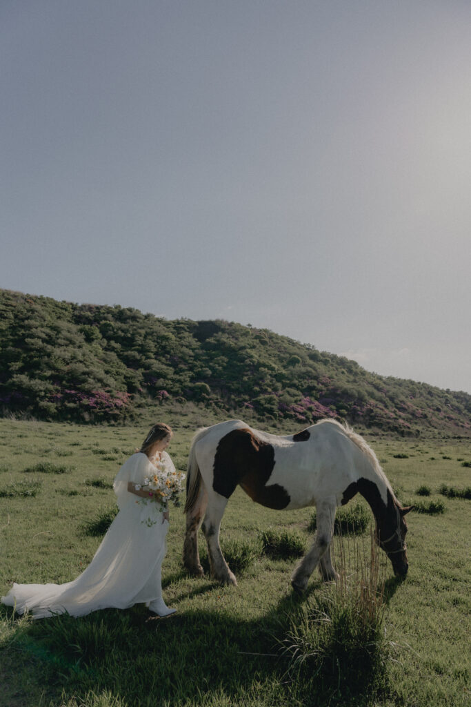 阿蘇（草千里ヶ浜）の前撮り事例