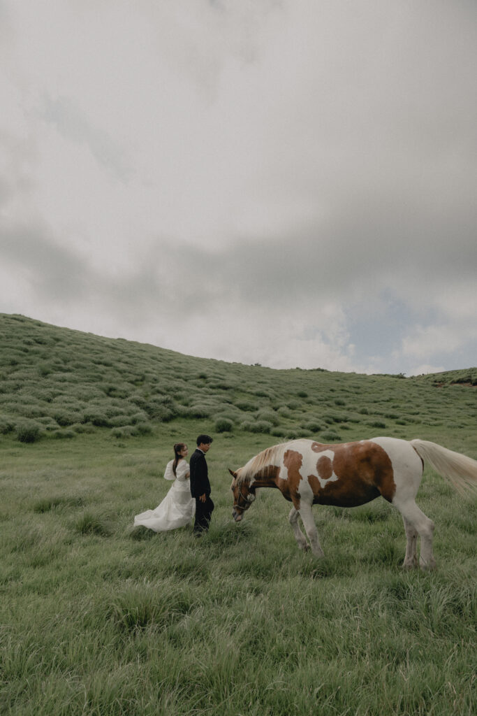 阿蘇（草千里ヶ浜）の前撮り事例