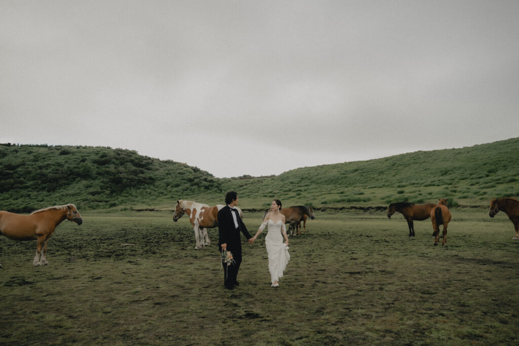 阿蘇（草千里ヶ浜）（SOOYE)の前撮り事例