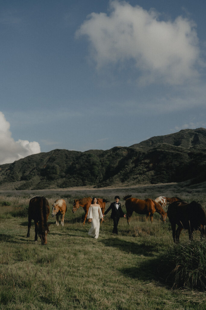 阿蘇（草千里ヶ浜）（SOOYE)の前撮り事例