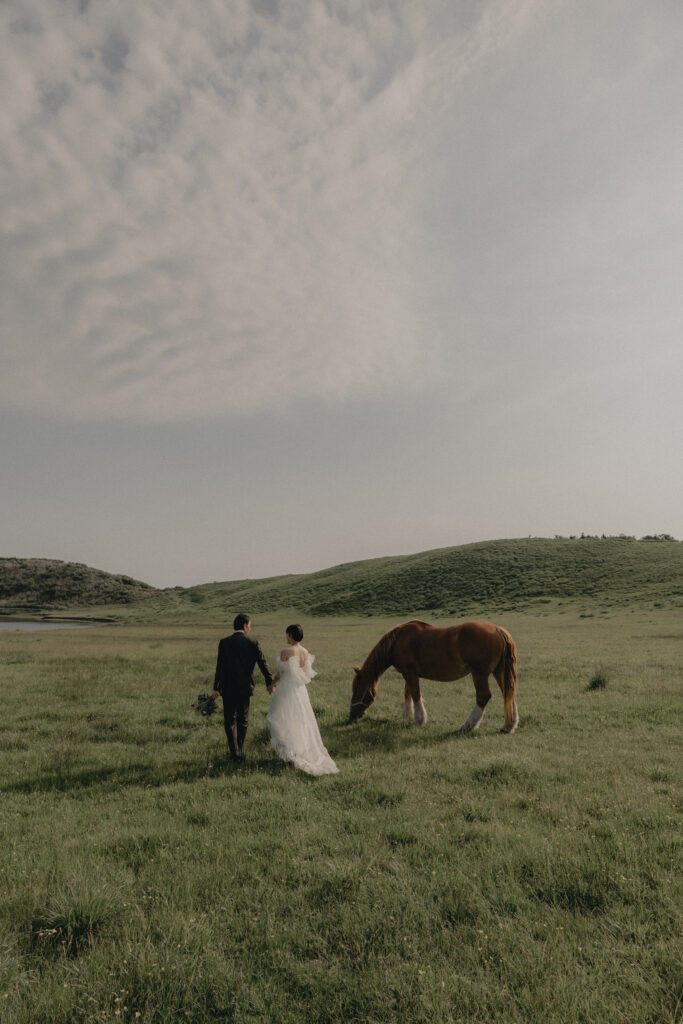 阿蘇（草千里ヶ浜）の前撮り事例
