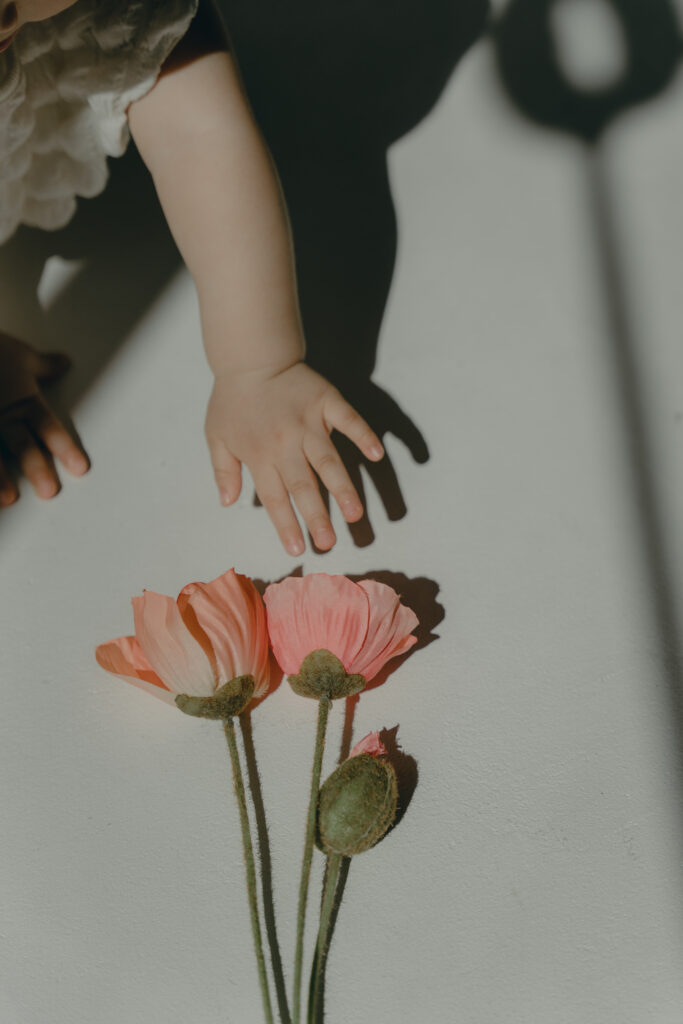 ファミリーフォト – iliy –