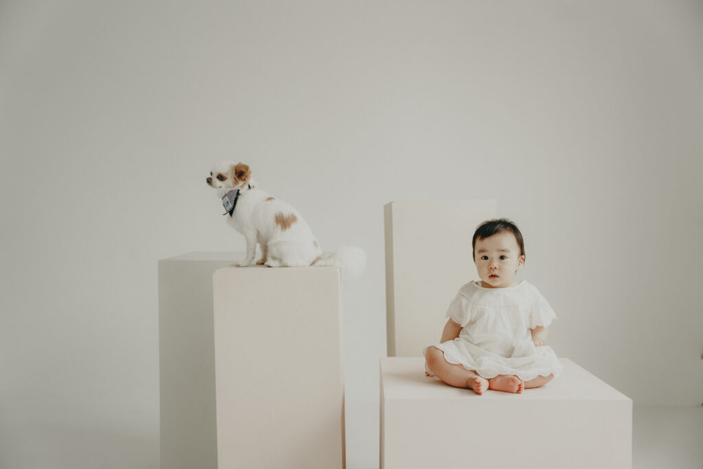 ファミリーフォト – iliy –