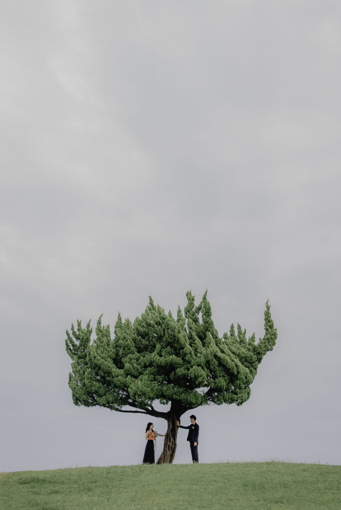 2023年夏（6月/7月/8月）の前撮り事例