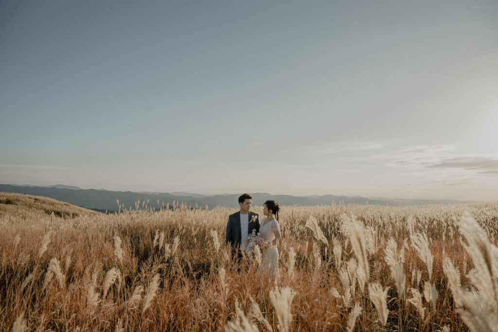 2023年秋（9月/10月/11月）の前撮り事例