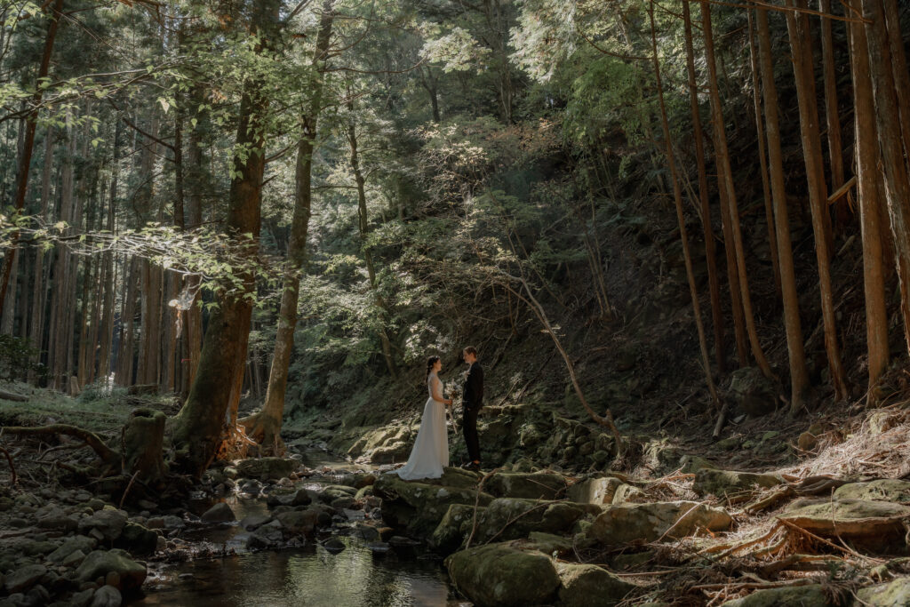 2023年秋（9月/10月/11月）の前撮り事例