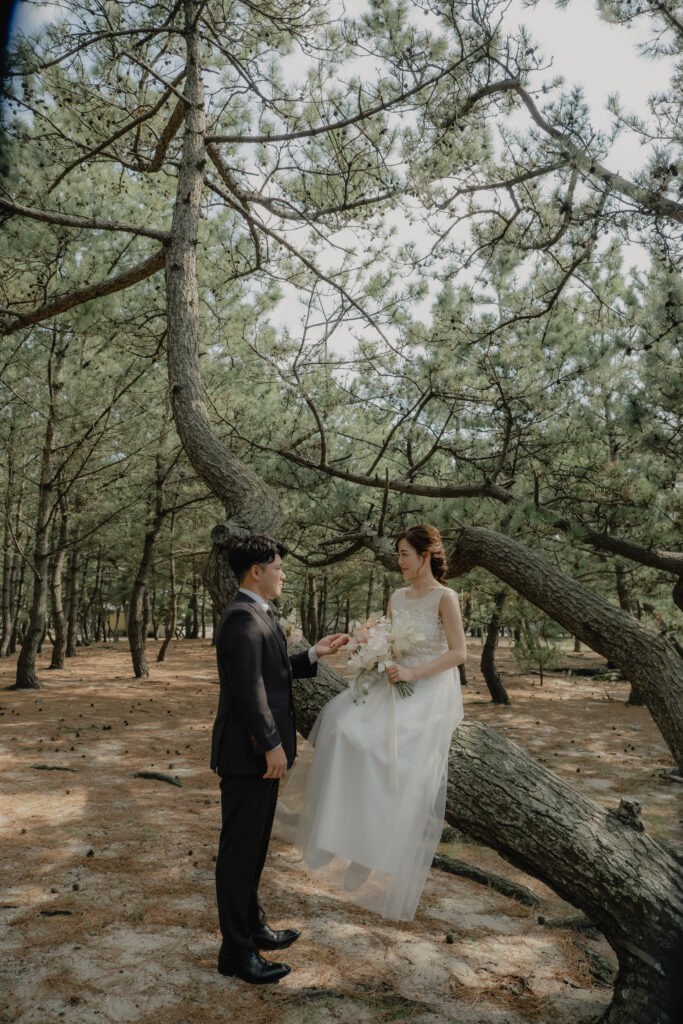 2023年秋（9月/10月/11月）の前撮り事例