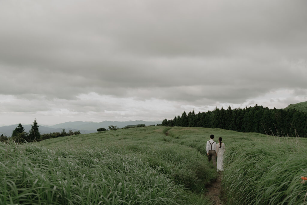 2023年夏（6月/7月/8月）の前撮り事例