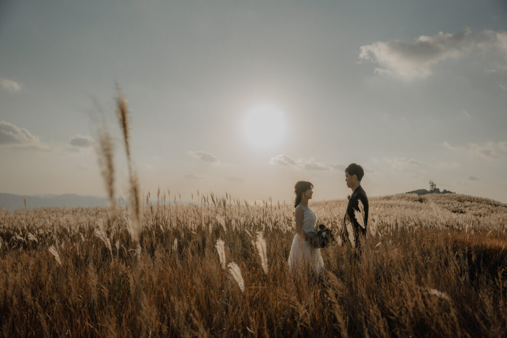 2023年秋（9月/10月/11月）の前撮り事例