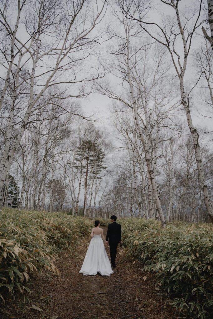 白樺群生地・八千穂レイクの前撮り事例