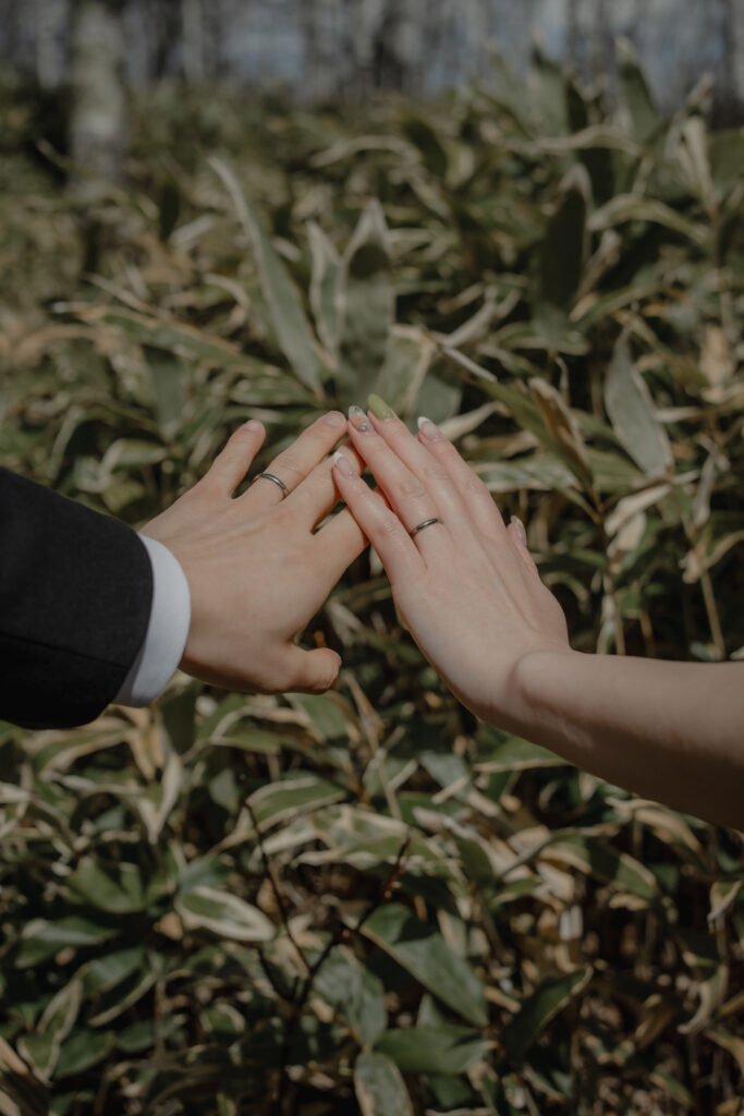 白樺群生地・八千穂レイクの前撮り事例