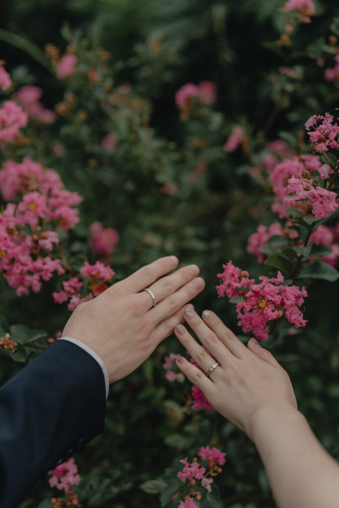 淡路島/あわじ花さじきの前撮り事例
