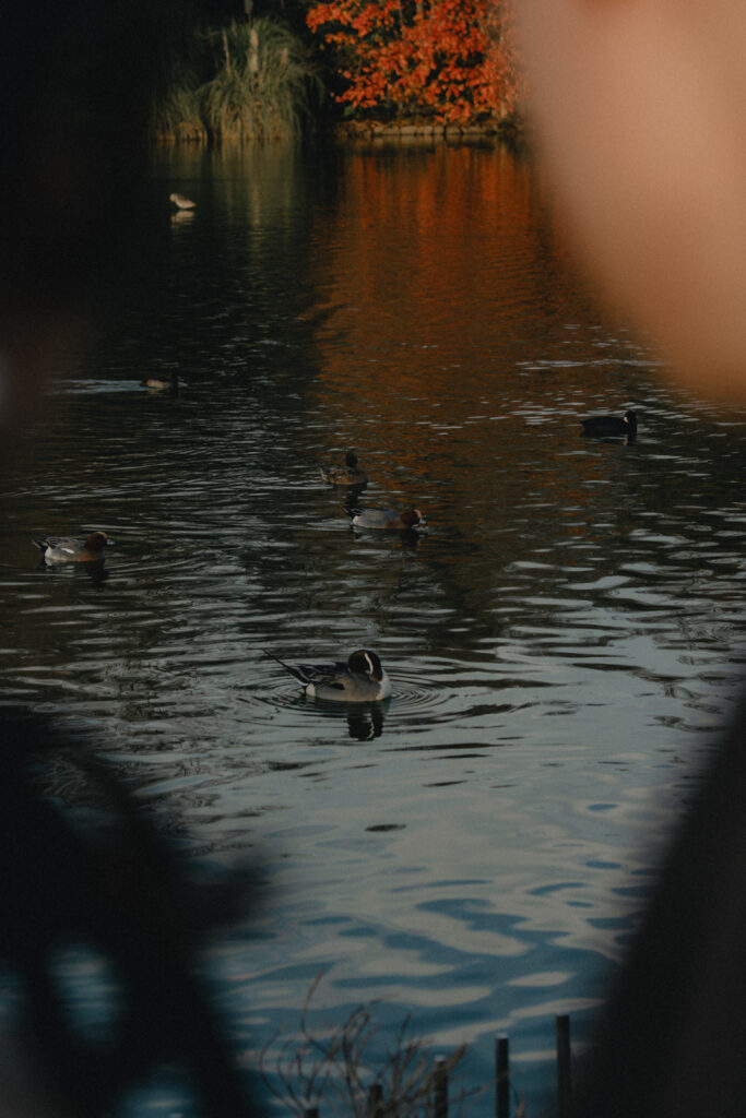 鶴見緑地(SOOYE)の前撮り事例