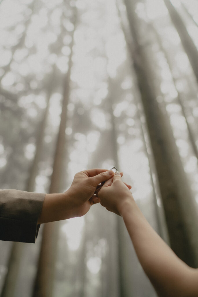 龍王ヶ渕の前撮り事例