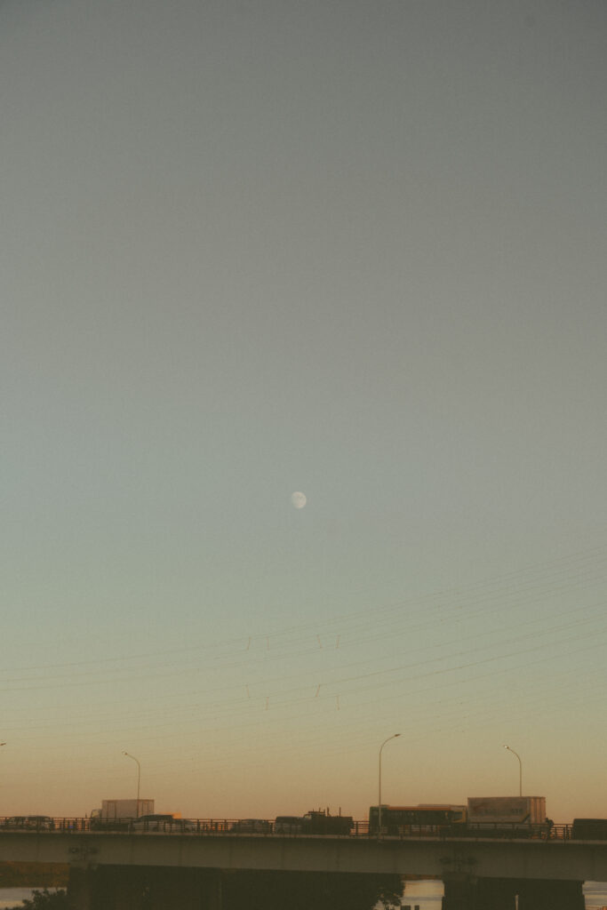 荒川（BAOI）の前撮り事例