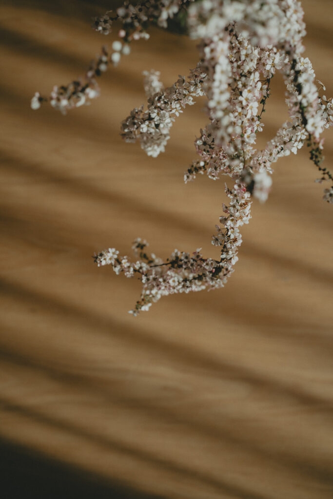 2024年3月ACE HOTEL(KYOTO) の当日フォト撮影事例の撮影事例