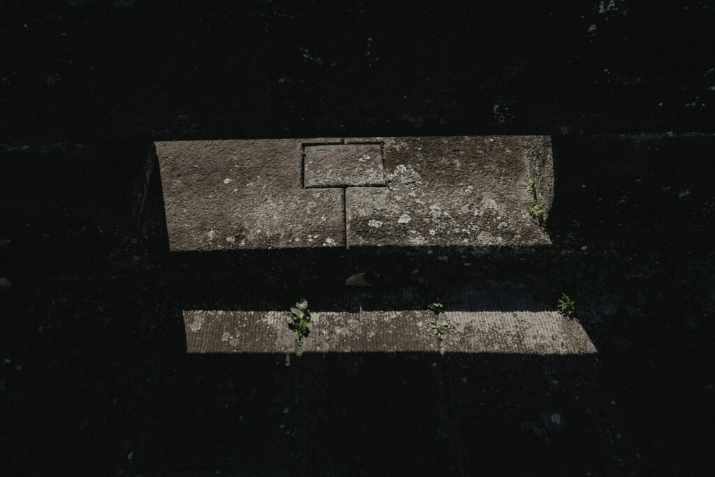 2024年11月HIKE(KUMAMOTO) の当日フォト撮影事例の撮影事例