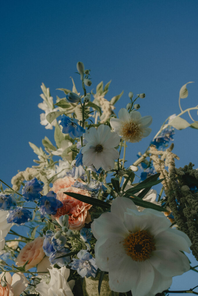 2024年11月HIKE(KUMAMOTO) の当日フォト撮影事例の撮影事例