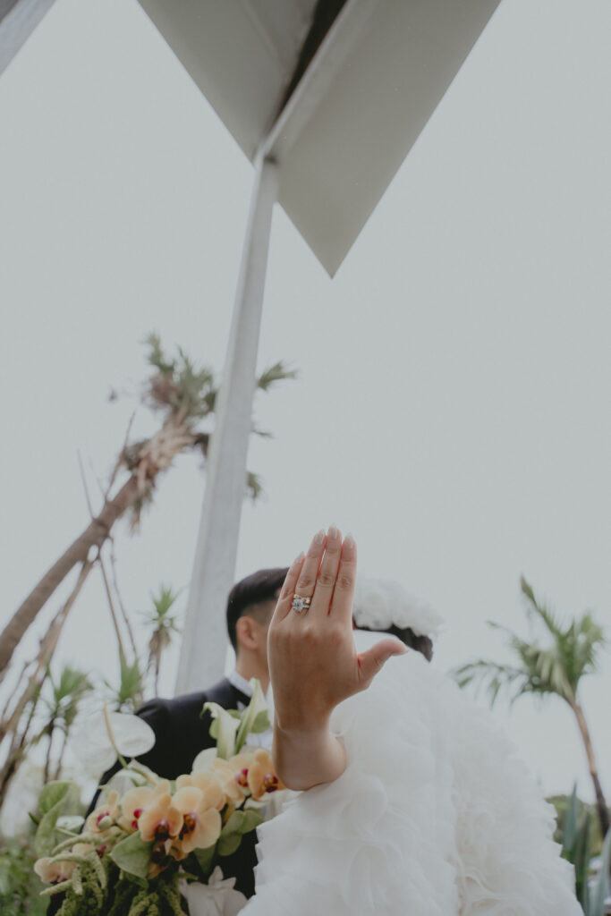 2024年11月 BOTANICAL POOL CLUB の当日フォト撮影事例の撮影事例