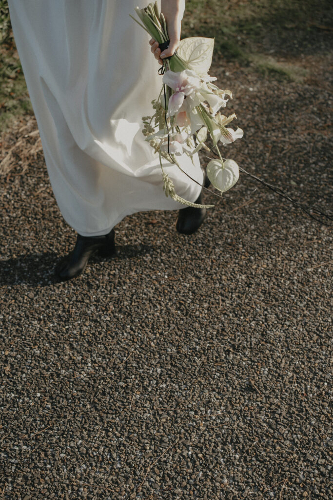 2024年11月HIKE(KUMAMOTO) の当日フォト撮影事例の撮影事例