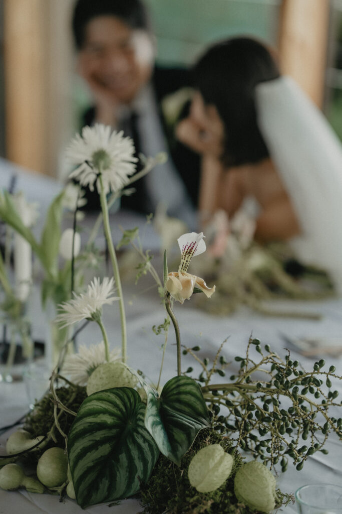 2024年11月HIKE(KUMAMOTO) の当日フォト撮影事例の撮影事例