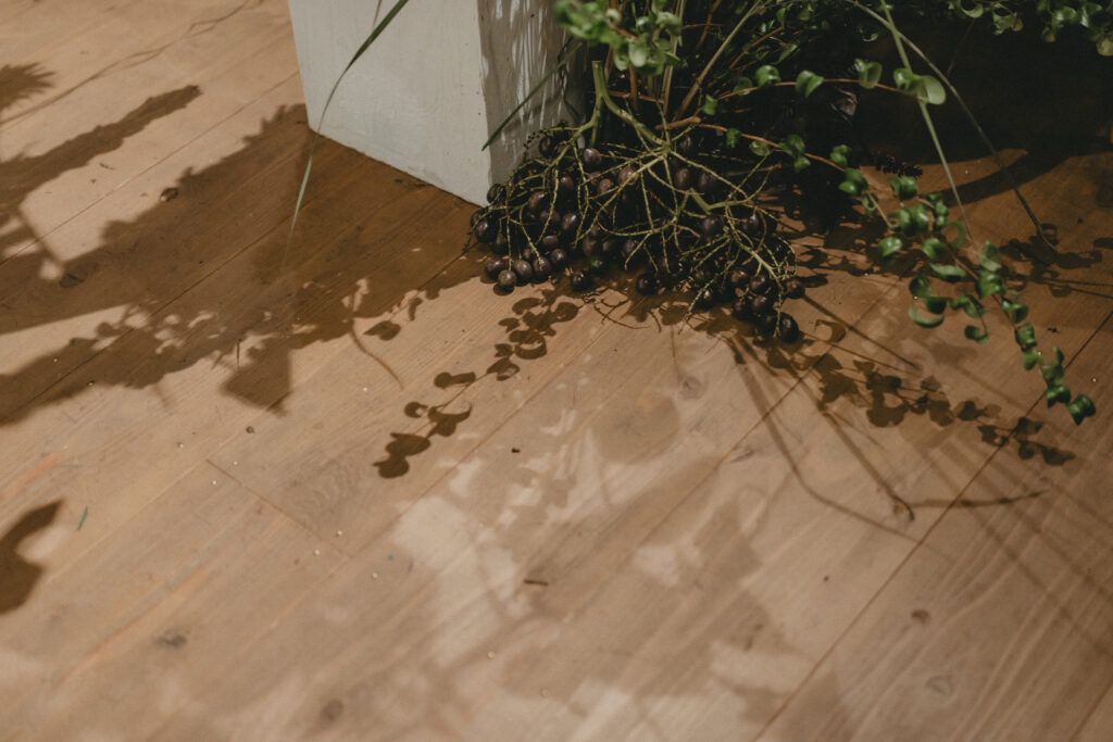 2024年11月HIKE(KUMAMOTO) の当日フォト撮影事例の撮影事例