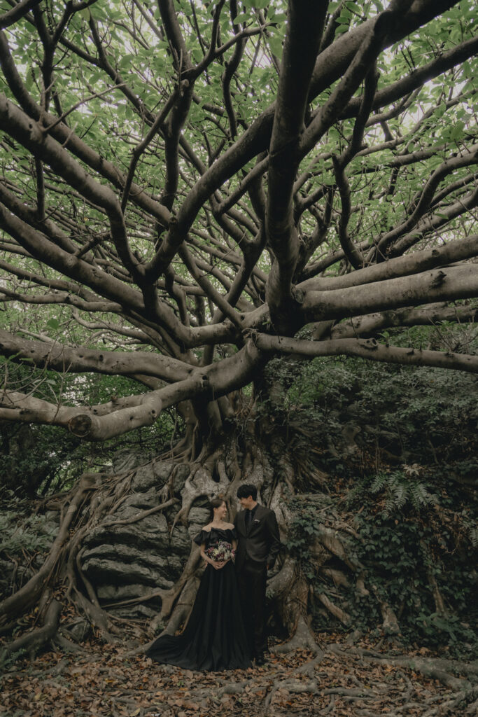 室戸岬の前撮り事例