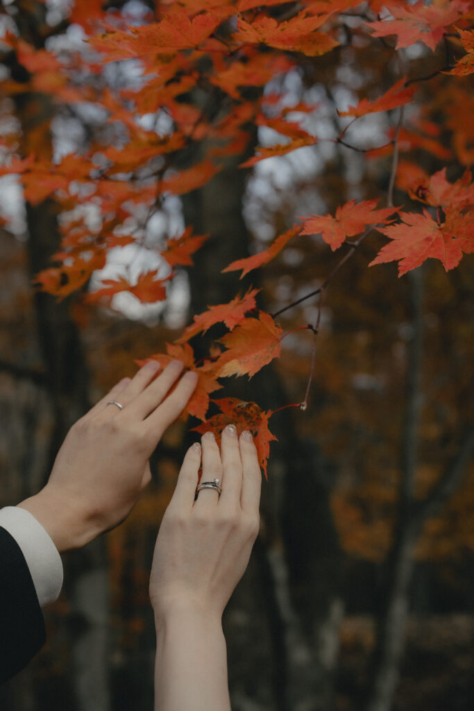 日光大使館別荘記念公園の前撮り事例