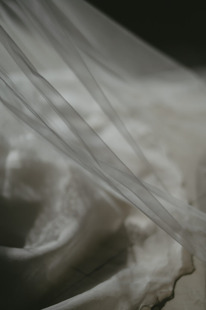 2025年1月 東京 Q.E.D CLUB の当日フォト撮影事例の撮影事例