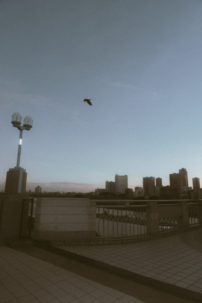 丸子橋・多摩川（BAOI / ナイト）の前撮り事例