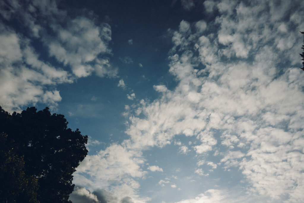 2025年5月 甘粕屋敷 鎌倉 の当日フォト撮影事例の撮影事例