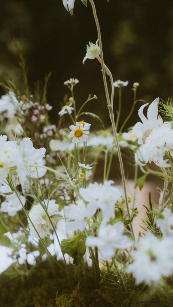 【フィルムレタッチ】2025年5月 東京都 洋館の当日フォト撮影事例の撮影事例
