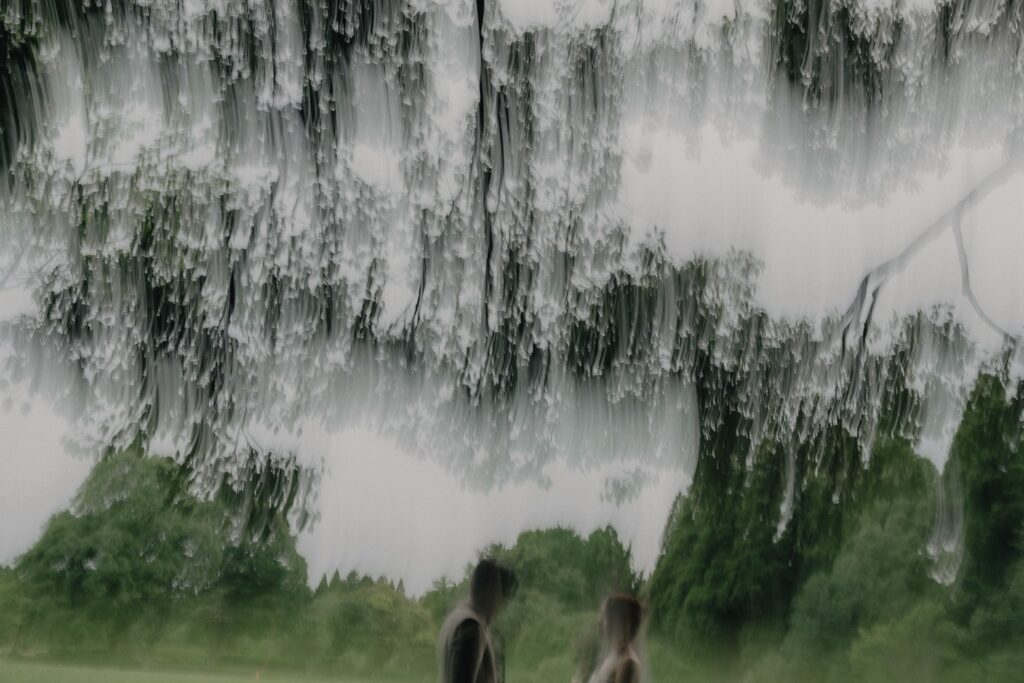 昭和の森公園の前撮り事例