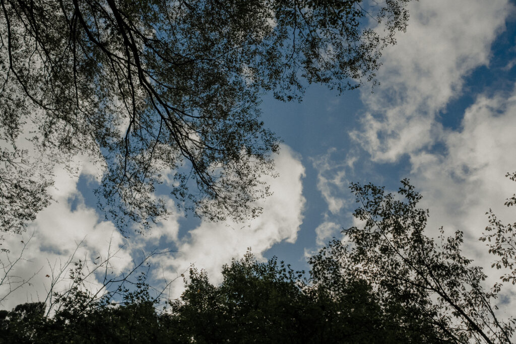 2024年10月 城崎温泉 西村屋 招月庭 兵庫 の当日フォト撮影事例の撮影事例