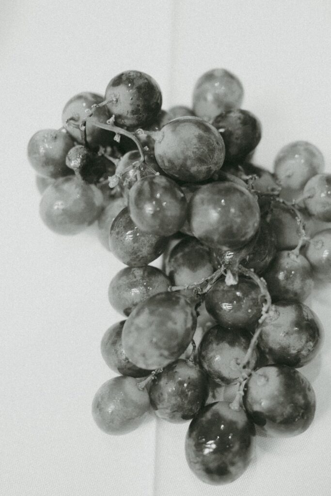 【ナチュラルレタッチ】2025年6月MOTHERSの当日フォト撮影事例の撮影事例