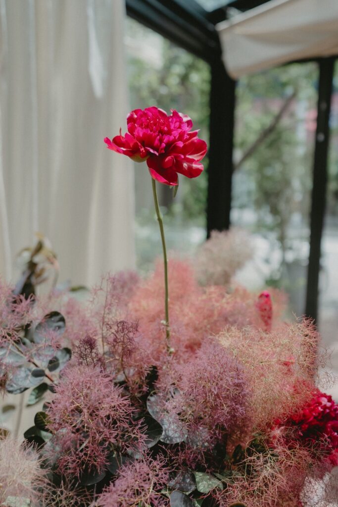 【ナチュラルレタッチ】2025年6月MOTHERSの当日フォト撮影事例の撮影事例