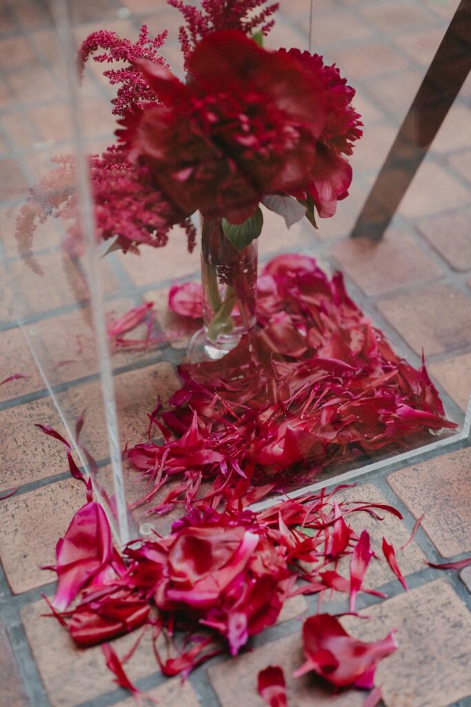 【ナチュラルレタッチ】2025年6月MOTHERSの当日フォト撮影事例の撮影事例