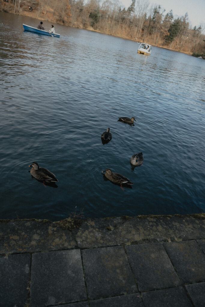 軽井沢タリアセン（SOOYE)の前撮り事例