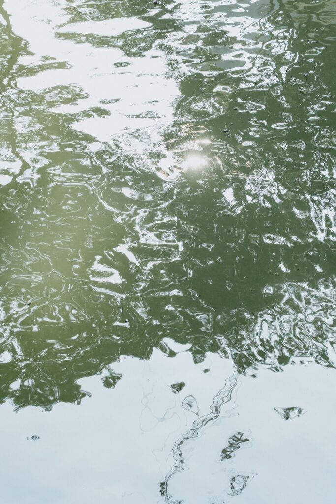 東京日本橋の前撮り事例